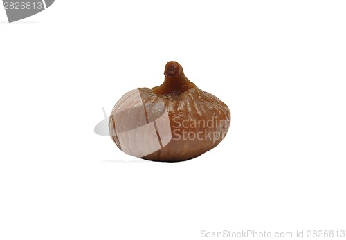 Image of Fig on white