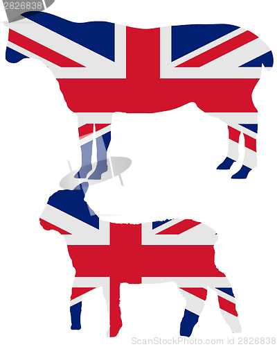 Image of British sheep