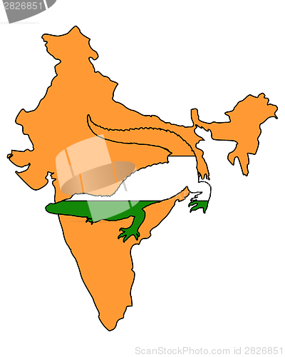 Image of Crocodile India