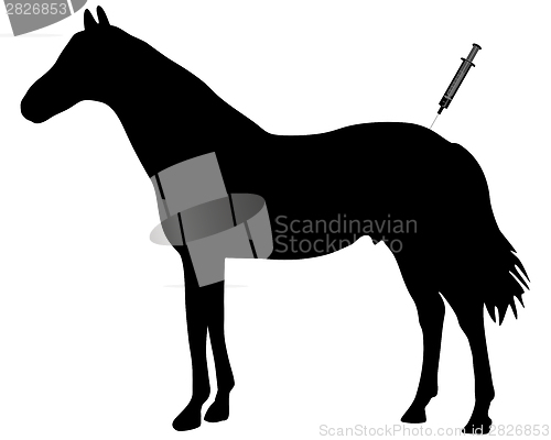 Image of Immunization for horses