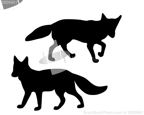 Image of The black silhouettes of two foxes on white