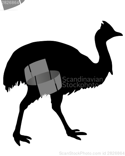 Image of Kassowary Silhouette