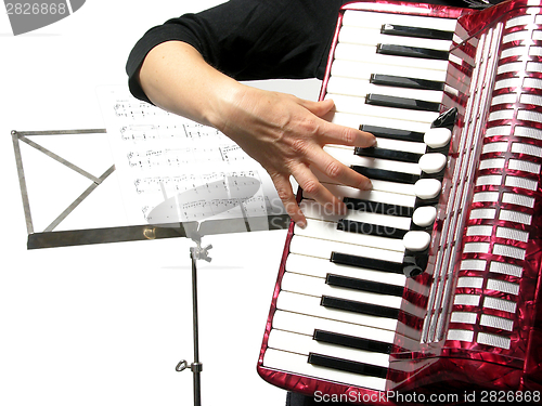 Image of Cutout with a woman playing accordion on white