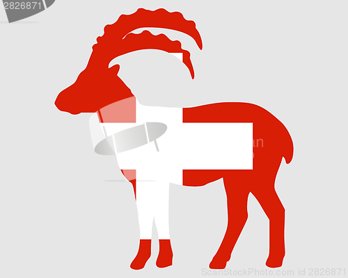 Image of Flag of Switzerland with capricorn