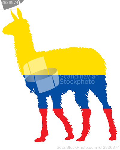 Image of Lama Ecuador 