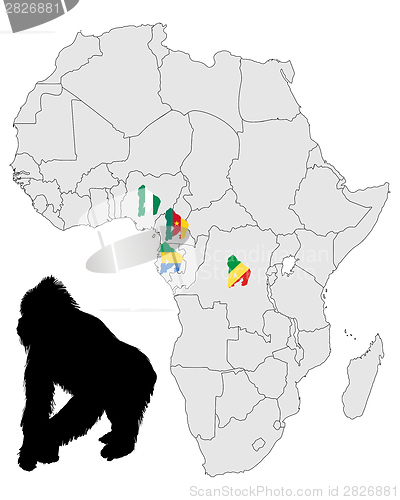 Image of Africa Gorilla range