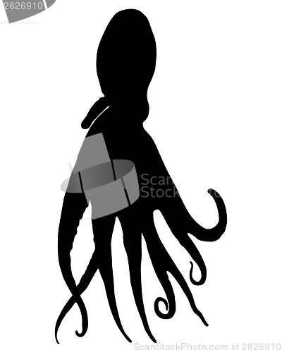 Image of Octopus Silhouette