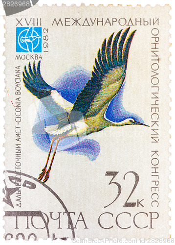 Image of Stamp printed in USSR (Russia) shows a bird Ciconia boyciana wit