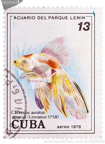 Image of Postage stamp printed in the Cuba shows carassius auratus auratu