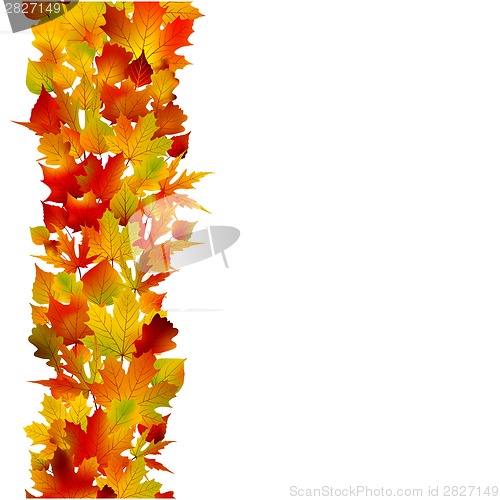 Image of Multicolored autumn leaves of maple . EPS 8