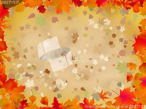 Image of Autumn leaves border for your text. EPS 8