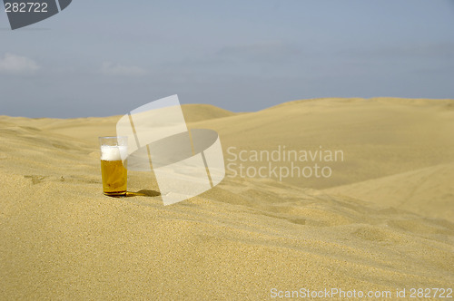 Image of Fresh beer in desert