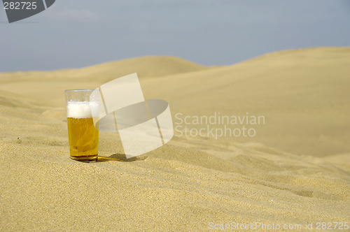 Image of Fresh beer in desert