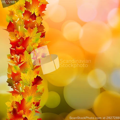 Image of Autumn leaves, very shallow focus. EPS 8