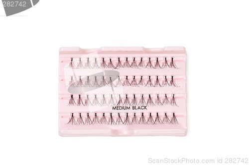 Image of Individual eyelashes