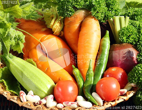 Image of Fresh vegetables