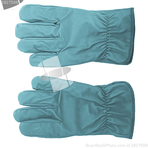 Image of Gloves picture