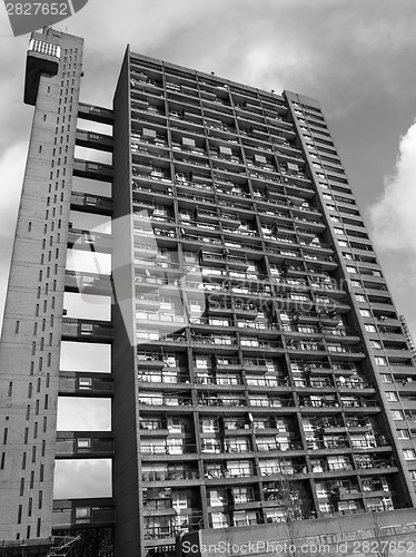 Image of Black and white Trellick Tower in London