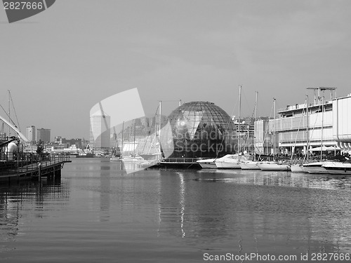 Image of Black and white Porto Vecchio Genoa Italy