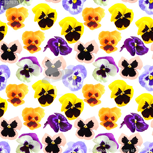 Image of Seamless pattern of pansyes flowers