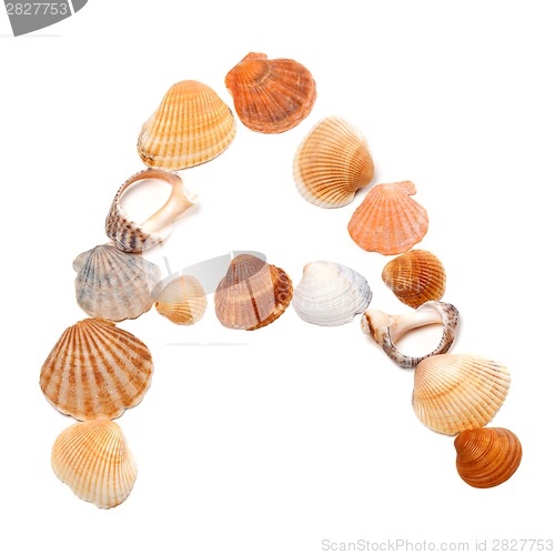 Image of Letter A composed of seashells