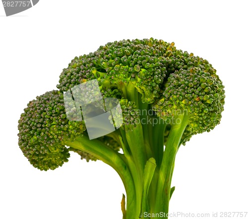 Image of Broccoli 