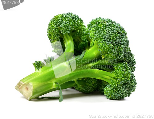 Image of Broccoli isolated on white background