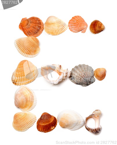 Image of Letter E composed of seashells