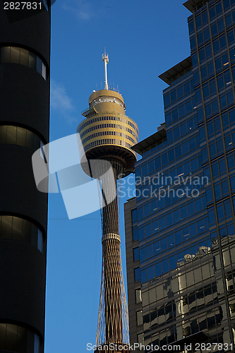 Image of Sydney AMP Tower in the City