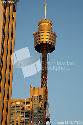 Image of Sydney Tower