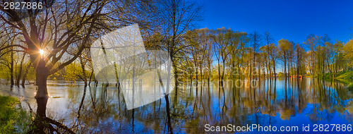 Image of Reflection Of Trees In The River At Dawn