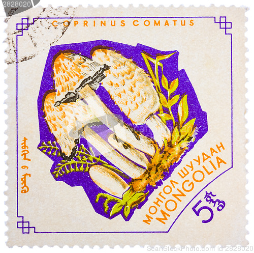 Image of Stamp printed by Mongolia, shows mushroom