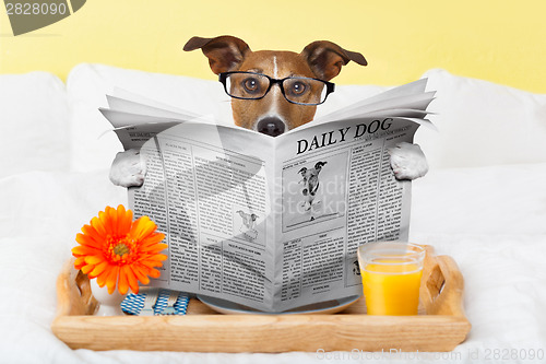 Image of dog reading newspaper 