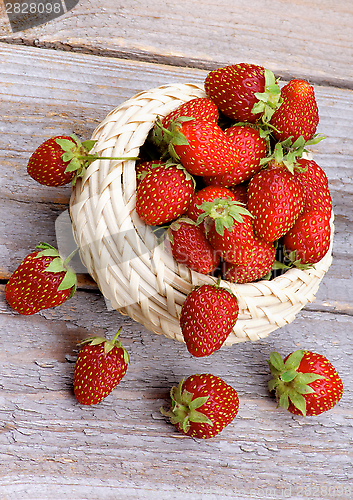 Image of Forest Strawberries