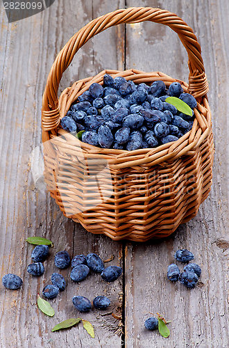 Image of Honeysuckle Berries