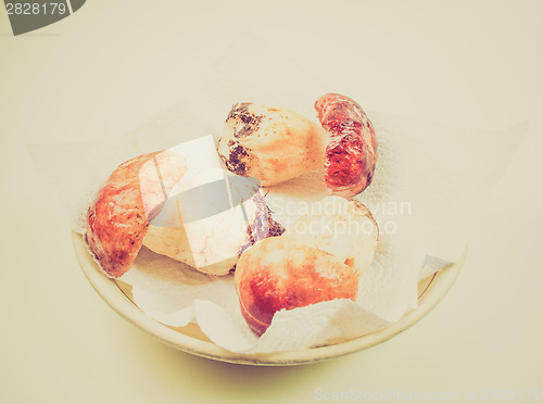Image of Retro look Porcini Mushroom