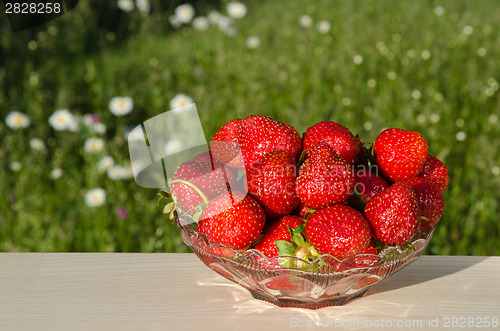 Image of Fresh strawberries on a table  in garden