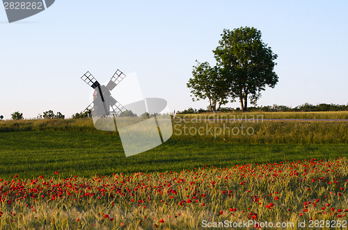 Image of Landscape with a field of poppies and an old windmill