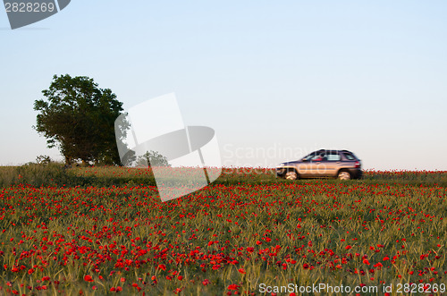 Image of Blurred car in a red summer landscape