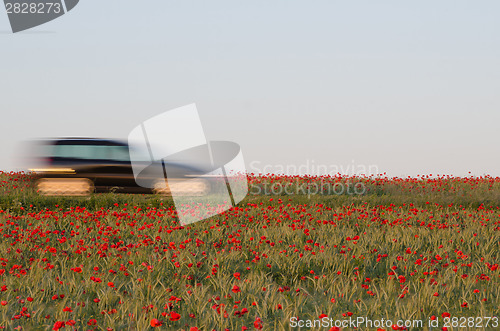 Image of Blurred car in a poppy field