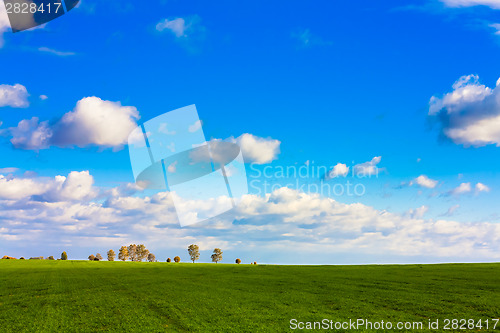 Image of Green Field
