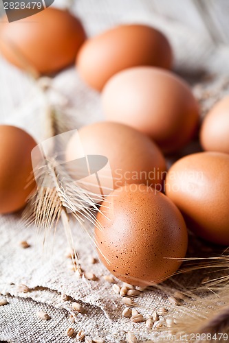 Image of  fresh brown eggs, wheat seeds and ears