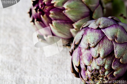 Image of two fresh artichokes 