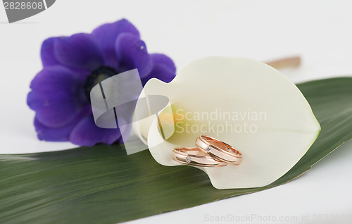 Image of wedding rings