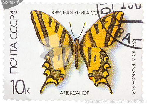 Image of Stamp printed in the USSR shows butterfly Papilio alexanor
