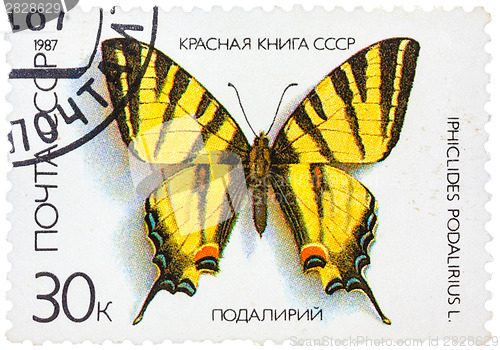 Image of Stamp printed in the USSR shows butterfly Iphiclides podalirius