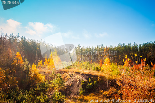Image of Autumn Landscape With Colorful Forest. Russian Nature