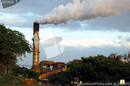 Image of Pollution