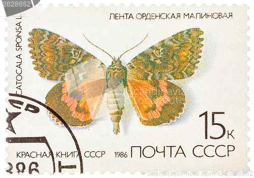 Image of Stamp printed in the USSR (Russia) shows a Butterfly with the in