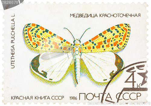 Image of Stamp printed in USSR, shows Butterfly Utetheisa pretty Utetheis